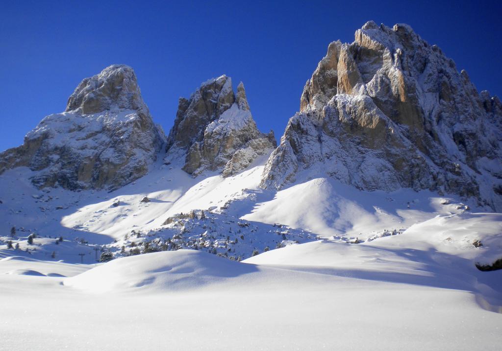 Residence Villa Artic Campitello di Fassa Exteriér fotografie